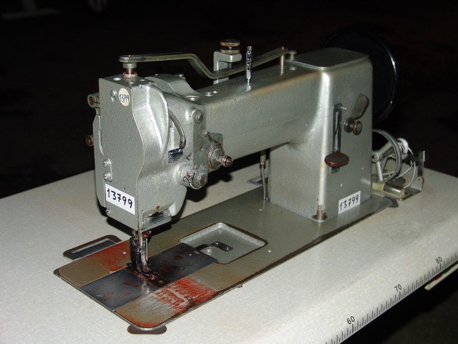 adller13799.jpg