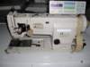 sunstar1302502_small.jpg
